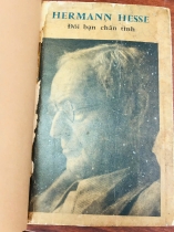 ĐÔI BẠN CHÂN TÌNH - HERMANN HESSE