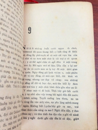 ĐÔI BẠN CHÂN TÌNH - HERMANN HESSE
