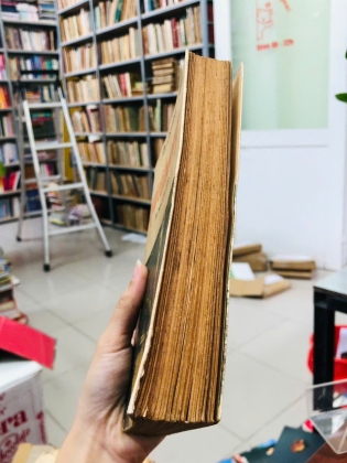 QUI CỐ HƯƠNG - TIRO OSARAGI