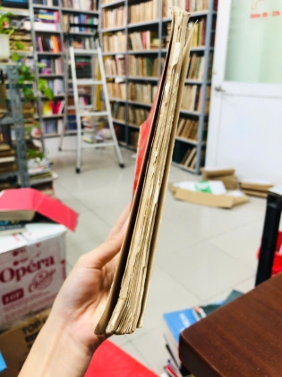 MÁU TRẮNG MÁU ĐÀO - ĐIỆP LIÊN ANH