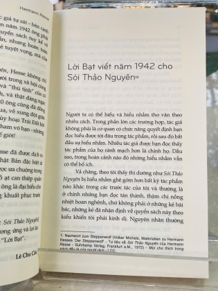 SÓI THẢO NGUYÊN - HERMANN HESSE
