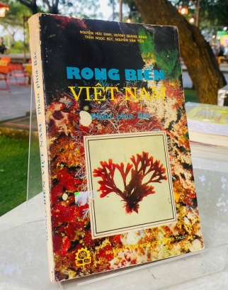 RONG BIỂN VIỆT NAM - PHẦN PHÍA BẮC 