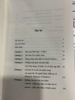 BẢN ĐỒ TÂM HỒN CON NGƯỜI CỦA JUNG (BẢN ĐẶC BIỆT SỐ 70) - MURRAY STEIN