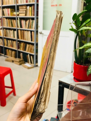 MUỐN GIỎI TOÁN ĐẠI SỐ LỚP ĐỆ TỨ TRUNG HỌC ĐỆ NHẤT CẤP - LÊ PHƯỚC TUẾ