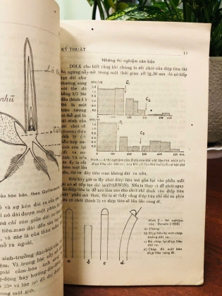 TẬP SAN KHOA HỌC KỸ THUẬT THÁNG 10 NĂM 1957
