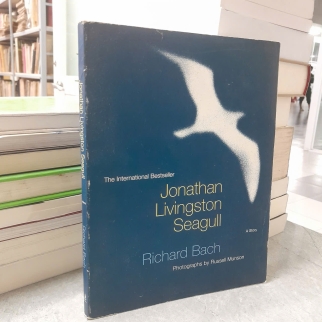 JONATHAN LIVINGSTON SEAGULL - RICHARD BACH