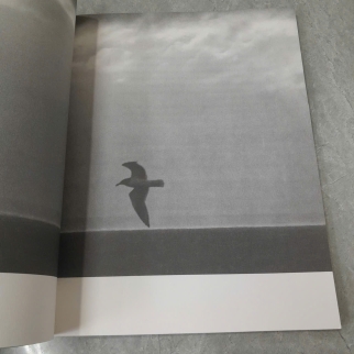JONATHAN LIVINGSTON SEAGULL - RICHARD BACH