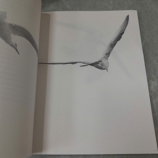 JONATHAN LIVINGSTON SEAGULL - RICHARD BACH