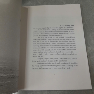JONATHAN LIVINGSTON SEAGULL - RICHARD BACH