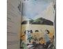 VỀ NƠI CÓ NHIỀU CÁNH ĐỒNG - PHAN