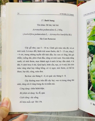 TUYỂN CHỌN NHỮNG CÂY THUỐC CỦA CỘNG ĐỒNG NGỜI MƯỜNG Ở CÚC PHƯƠNG - LÊ THỊ XUÂN