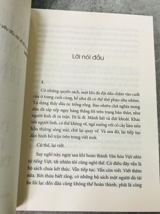 VĂN HOÁ VIỆT NHÌN TỪ TIẾNG VIỆT DÍCH DẮC DẶT DÌU DƯ DÍ DỎM - LÊ MINH QUỐC