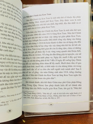 DI TÍCH LỊCH SỬ VĂN HÓA TÂY NGUYÊN - NGUYỄN TÙNG