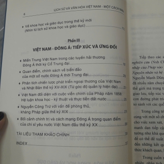 LỊCH SỬ VÀ VĂN HOÁ VIỆT NAM MỘT CÁCH NHÌN - NGUYỄN MẠNH DŨNG