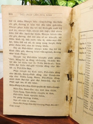 DIỆU PHÁP LIÊN HOA KINH (PHẦN ÂM THEO HÁN - VĂN) - ĐOÀN TRUNG CÒN