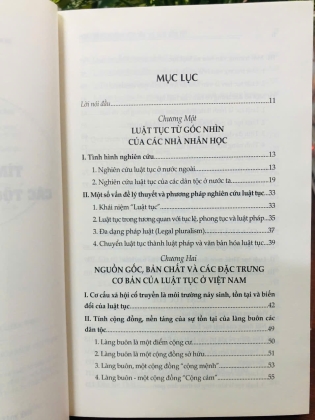 TÌM HIỂU LUẬT TỤC CÁC TỘC NGƯỜI Ở VIỆT NAM - NGÔ ĐỨC THỊNH