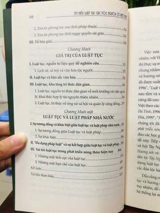 TÌM HIỂU LUẬT TỤC CÁC TỘC NGƯỜI Ở VIỆT NAM - NGÔ ĐỨC THỊNH
