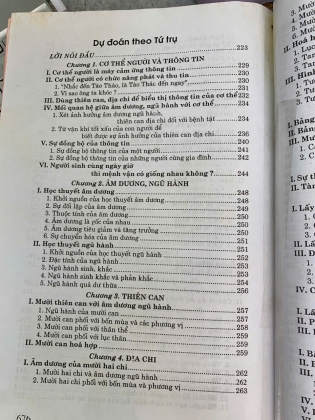 DỰ ĐOÁN THEO TỨ TRỤ - THIỆU VĨ HOA