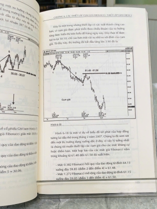 FIBONACCI TRADING - CAROLYN BORODÈN