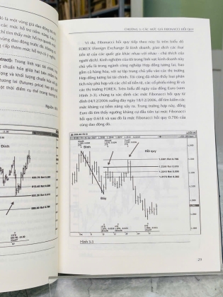 FIBONACCI TRADING - CAROLYN BORODÈN