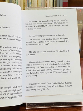 THẢO MAI TRÊN DỐC GIÓ - NGUYỄN VIỆN 