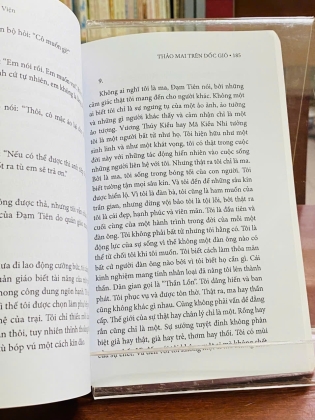 THẢO MAI TRÊN DỐC GIÓ - NGUYỄN VIỆN 