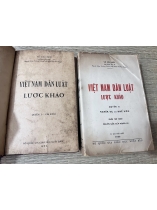 VIỆT NAM DÂN LUẬT LƯỢC KHẢO - VŨ VĂN MẪU