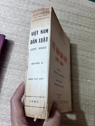 VIỆT NAM DÂN LUẬT LƯỢC KHẢO - VŨ VĂN MẪU
