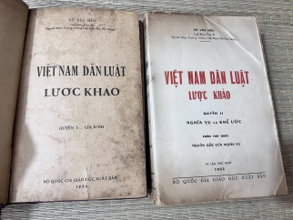 VIỆT NAM DÂN LUẬT LƯỢC KHẢO - VŨ VĂN MẪU