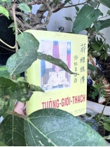 TIỂU SỬ TỔNG THỐNG TƯỞNG GIỚI THẠCH - ĐỔNG HIỂN QUANG - NGÔ TÂM LÝ