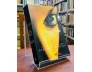 VẬT CHỦ - STEPHENIE MEYER