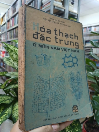 HÓA THẠCH ĐẶC TRƯNG Ở MIỀN NAM VIỆT NAM