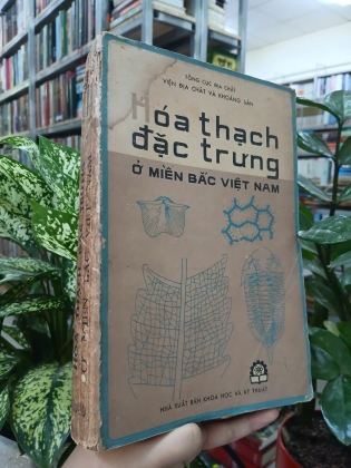 HÓA THẠCH ĐẶC TRƯNG Ở MIỀN BẮC VIỆT NAM