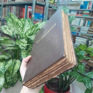 KINH DIỆU PHÁP LIÊN HOA - KINH ĐỊA THỪA VÔ LƯỢNG NGHĨA - THÍCH TRÍ TỊNH DỊCH