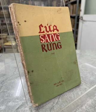 LỬA SÁNG RỪNG