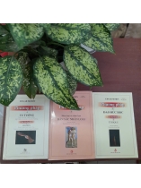 PHƯƠNG PHÁP (4,5,6) - EDGAR MORIN (CHU TIẾN ÁNH DỊCH)