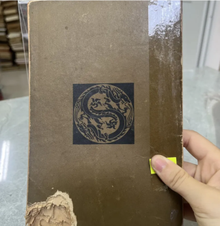 NGUỒN GỐC VĂN HÓA VIỆT NAM - KIM ĐỊNH