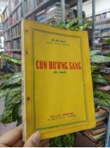 CON ĐƯỜNG SÁNG - HOÀNG ĐẠO