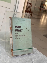 ĐẠO PHẬT QUA CẶP KÍNH MÀU CỦA TÔI - VÕ ĐÌNH CƯỜNG 