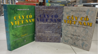 CÂY CỎ VIỆT NAM (QUYỂN I, II, III) - PHẠM HOÀNG HỘ