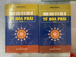 TRUNG CHÂU TỬ VI ĐẨU SỐ TỨ HÓA PHÁI (2 TẬP) - NGUYỄN ANH VŨ 