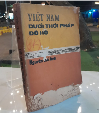 VIỆT NAM DƯỚI THỜI PHÁP ĐÔ HỘ - NGUYỄN THẾ ANH