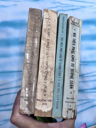 Nguyên thuỷ tiểu thừa đại thừa Phật giáo tư tưởng luận - THÍCH QUẢNG ĐỘ