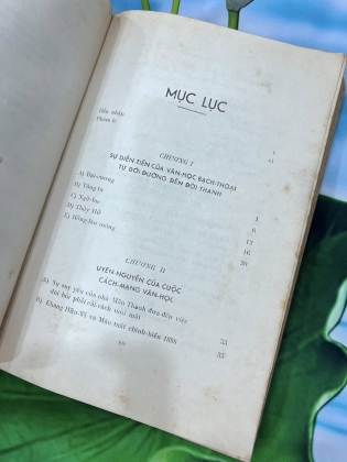 Hồ Thích và cuộc vận động tân văn học - Huỳnh Minh Đức 
