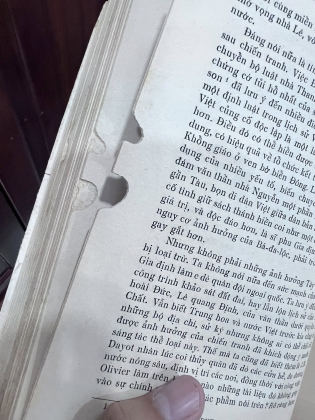 LỊCH SỬ NỘI CHIẾN Ở VIỆT NAM TỪ 1771 ĐẾN 1802 - TẠ CHÍ ĐẠI TRƯỜNG