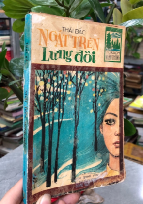 NGÁT TRÊN LƯNG ĐỒI - THÁI BẮC