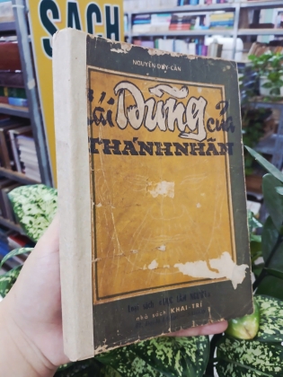 CÁI DŨNG CỦA THÁNH NHÂN - NGUYỄN DUY CẦN