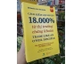 CÁCH KIẾM LỢI NHUẬN 18.000% TỪ THỊ TRƯỜNG CHỨNG KHOÁN - GIL MORALES & Dr. CHRIS KACHER