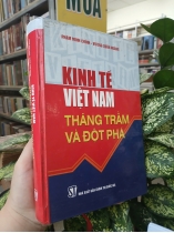 KINH TẾ VIỆT NAM THĂNG TRẦM VÀ ĐỘT PHÁ - PHẠM MINH CHÍNH - VƯƠNG QUÂN HOÀNG