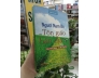 NGƯỜI NAM BỘ VÀ TÔN GIÁO BẢN ĐỊA - PHẠM BÍCH HỢP